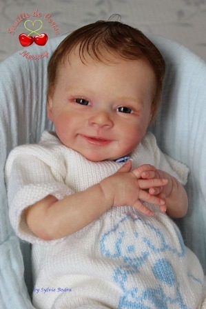 Baby reborn boy Sebastian